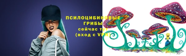 apvp Кукмор