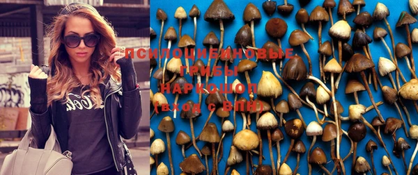 mix Костерёво