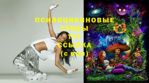 скорость Корсаков