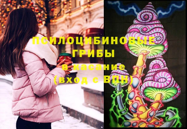 spice Кулебаки