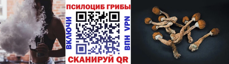 MEGA зеркало  даркнет сайт  Спас-Клепики  Галлюциногенные грибы GOLDEN TEACHER 